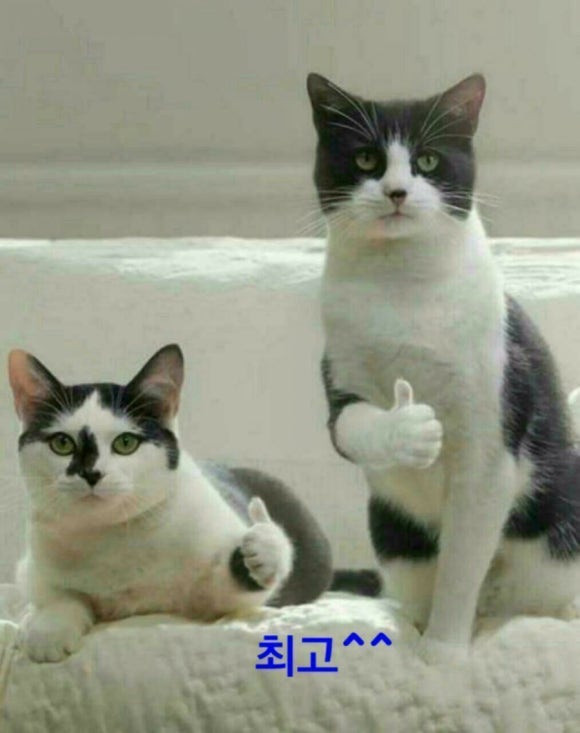 퍼펙트에어컨 이미지