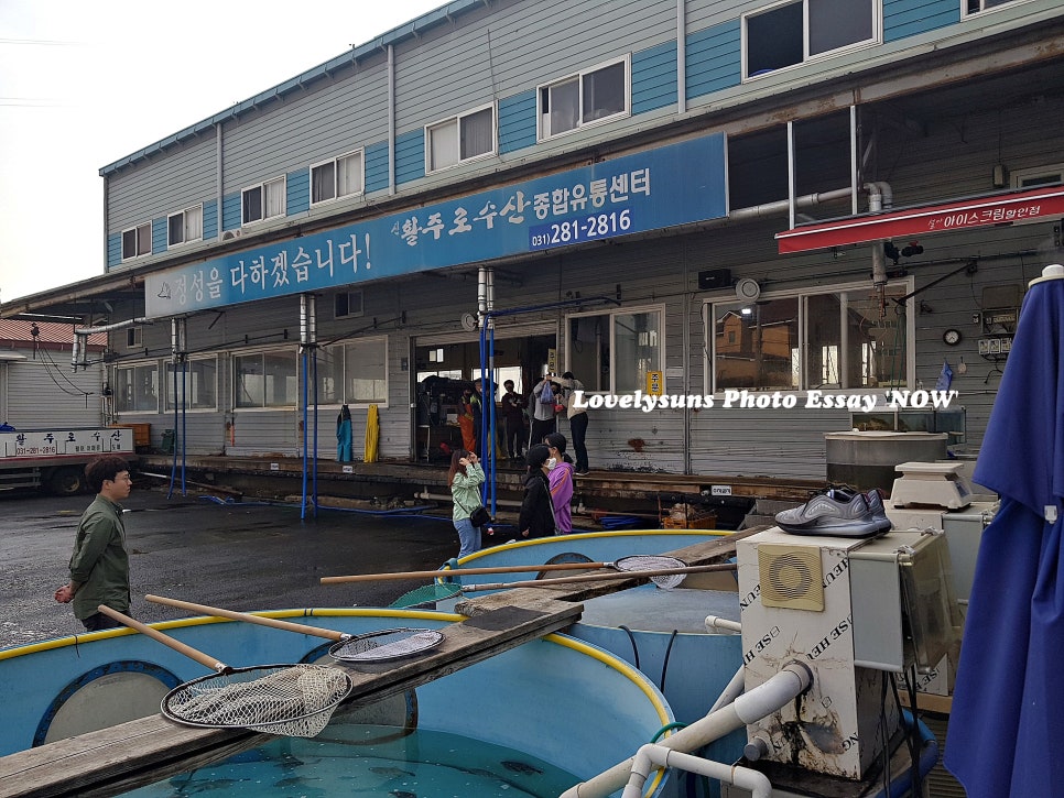 수산물도소매쎈터 이미지