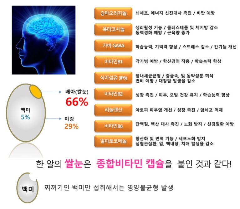황미로올쿠 이미지