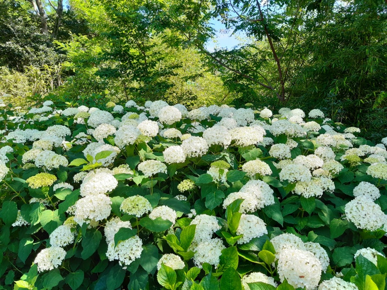 수안영농조합법인 이미지