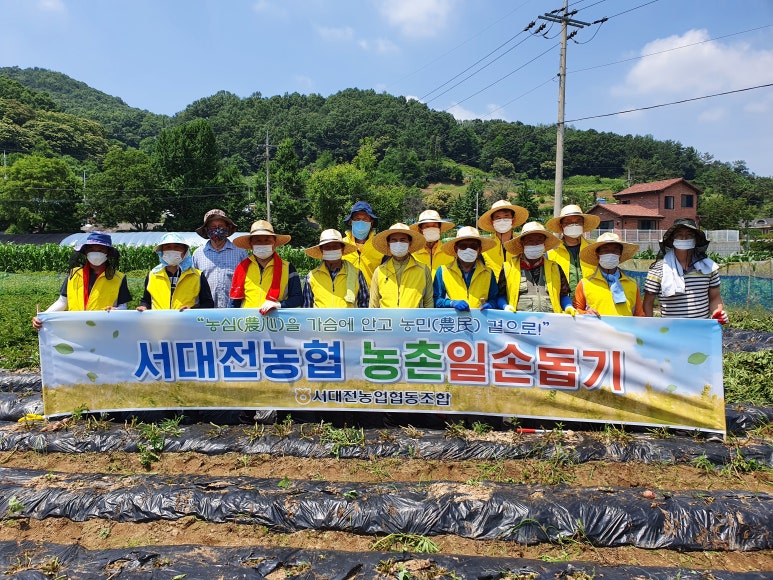 서대전농협주유소 이미지