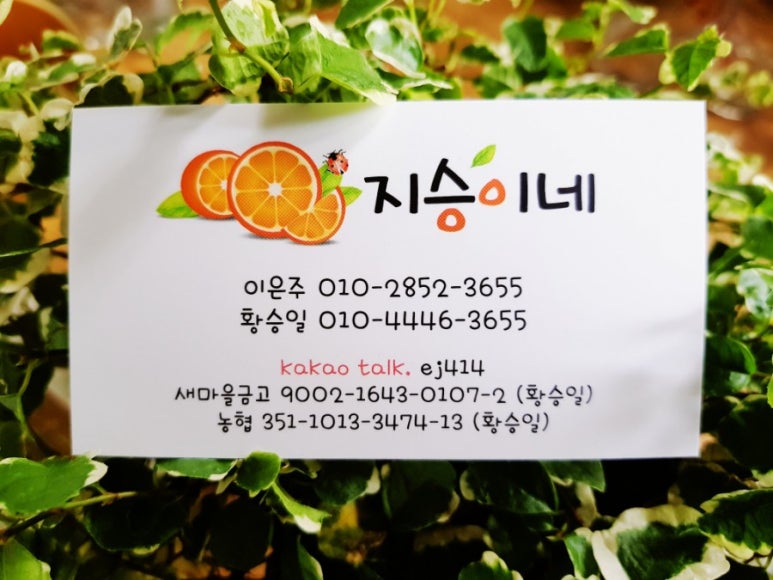 아이디플랜츠 이미지