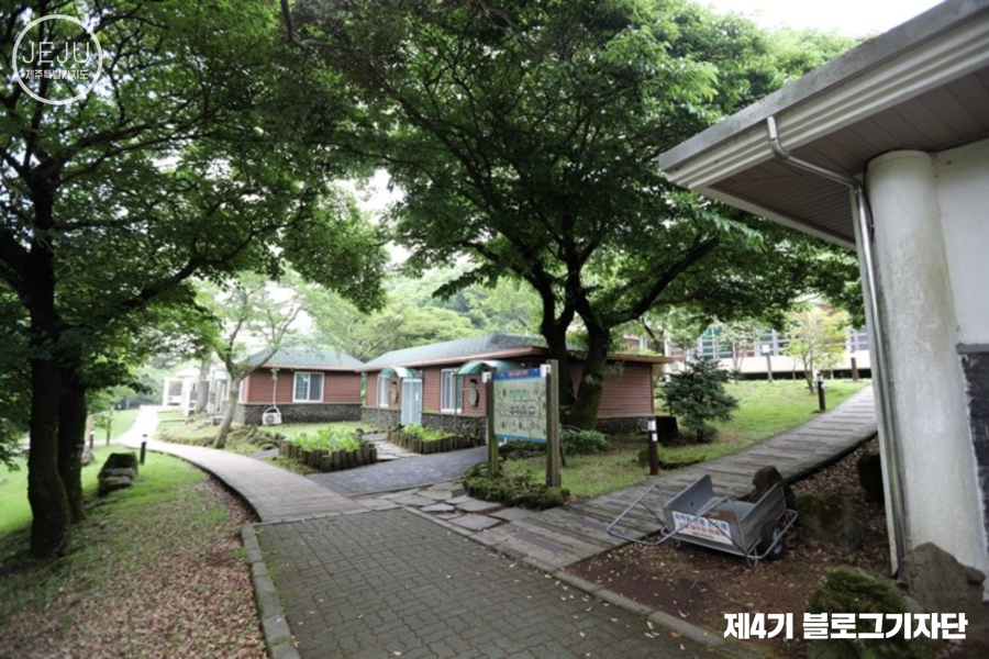 오늘은 제주 이미지