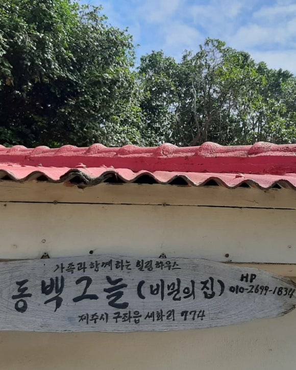 세화동백그늘 이미지