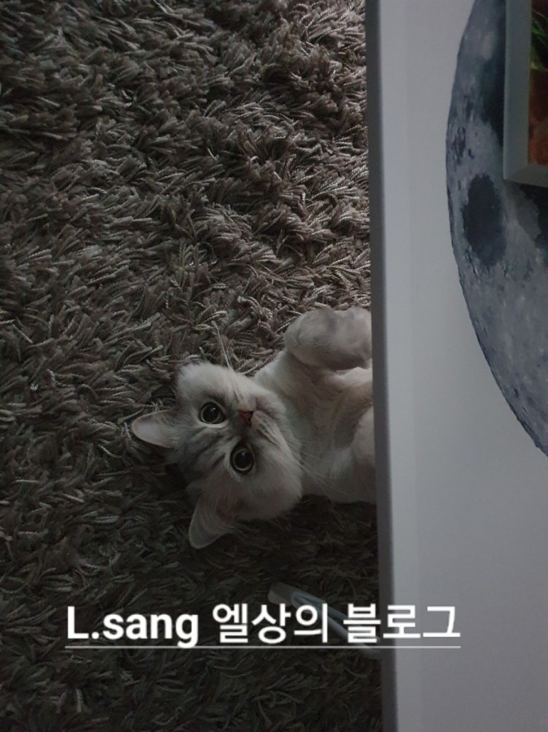 거인왕족발 이미지