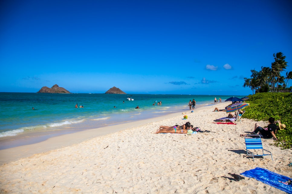 비치(Beach) 이미지