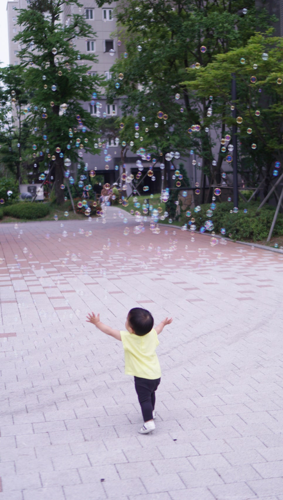 베어블 이미지