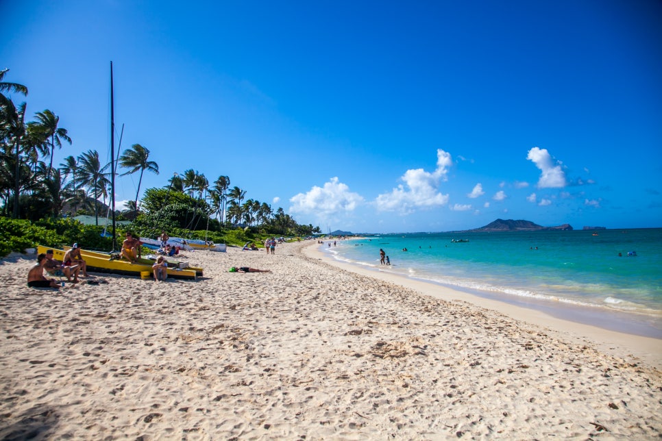 비치(Beach) 이미지