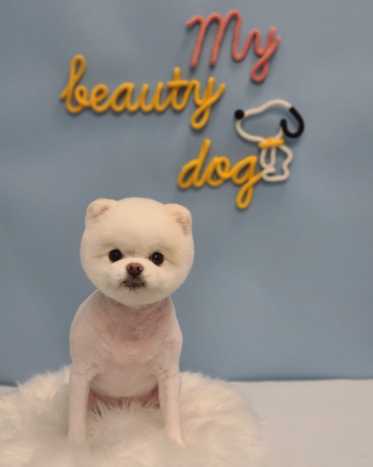 미용타운 이미지
