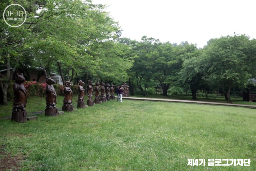 오늘은 제주 이미지