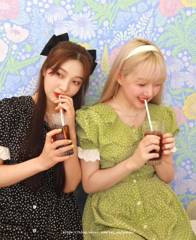 조이그린 이미지