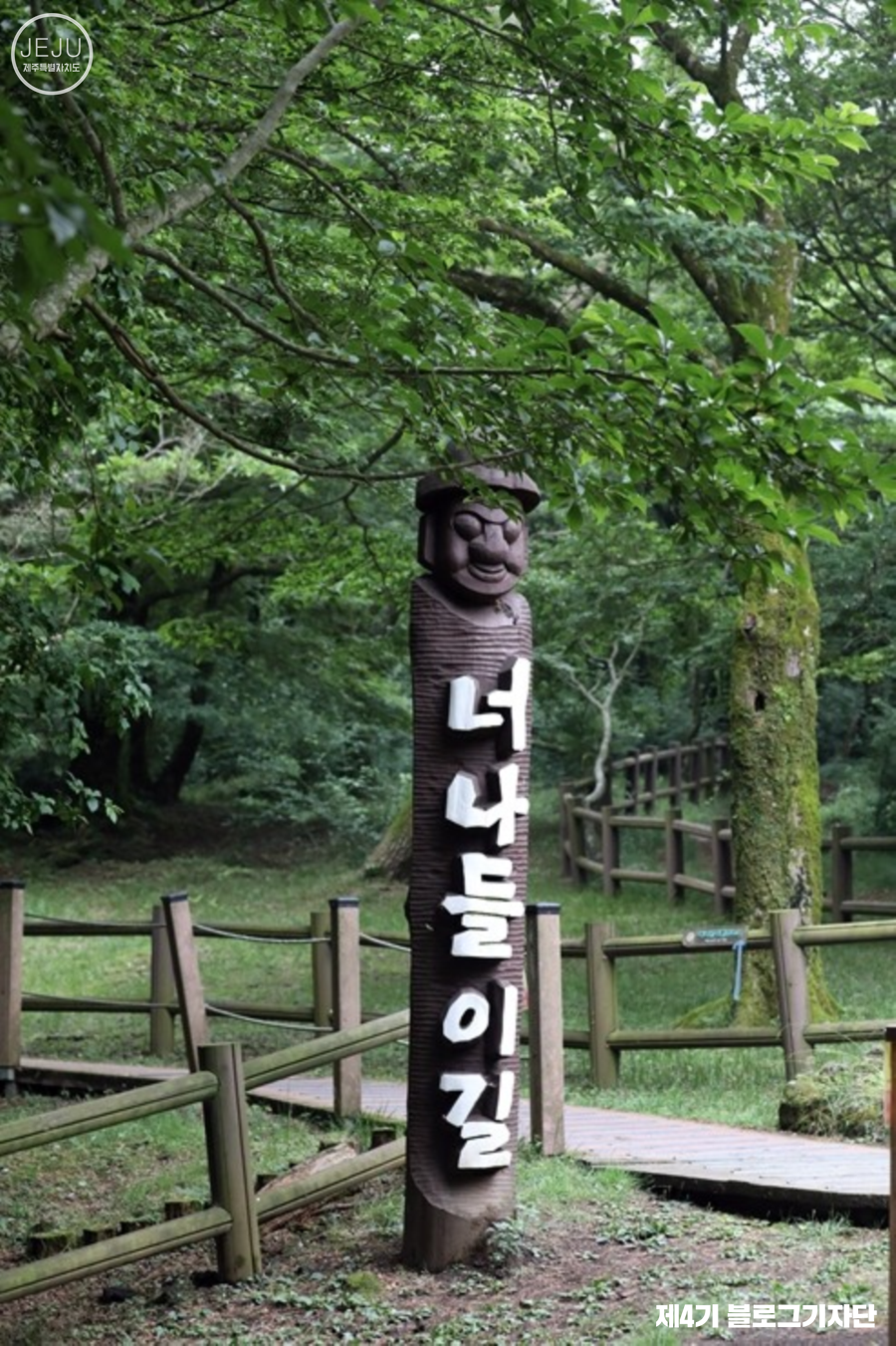 오늘은 제주 이미지