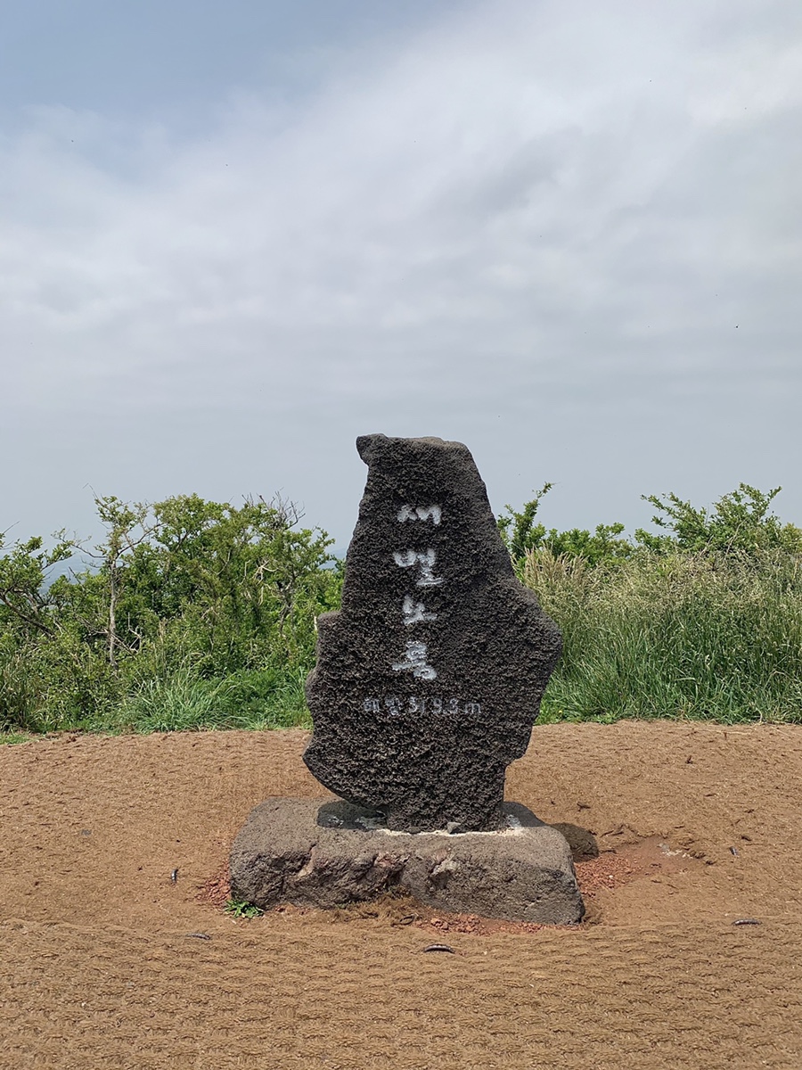 제주써니 이미지