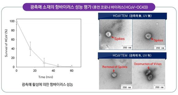 (주)엠케이 이미지