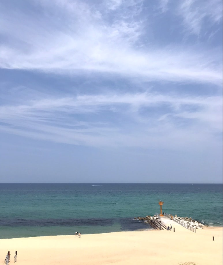 칼국수앤닭강정 이미지