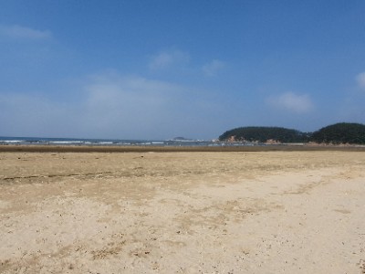 청솔매점 이미지