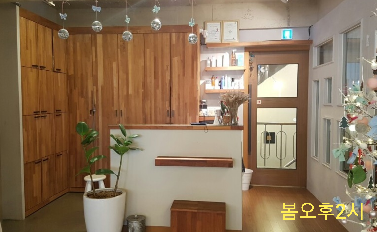 봄오후2시 이미지