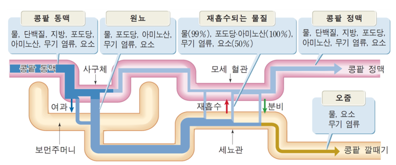 프라임에너지 이미지