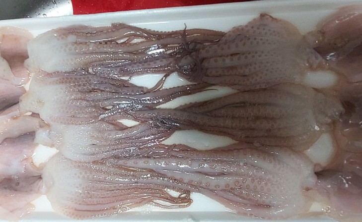 힘찬씨푸드 이미지