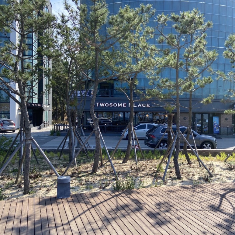 투썸플레이스삼척해수욕장점 이미지