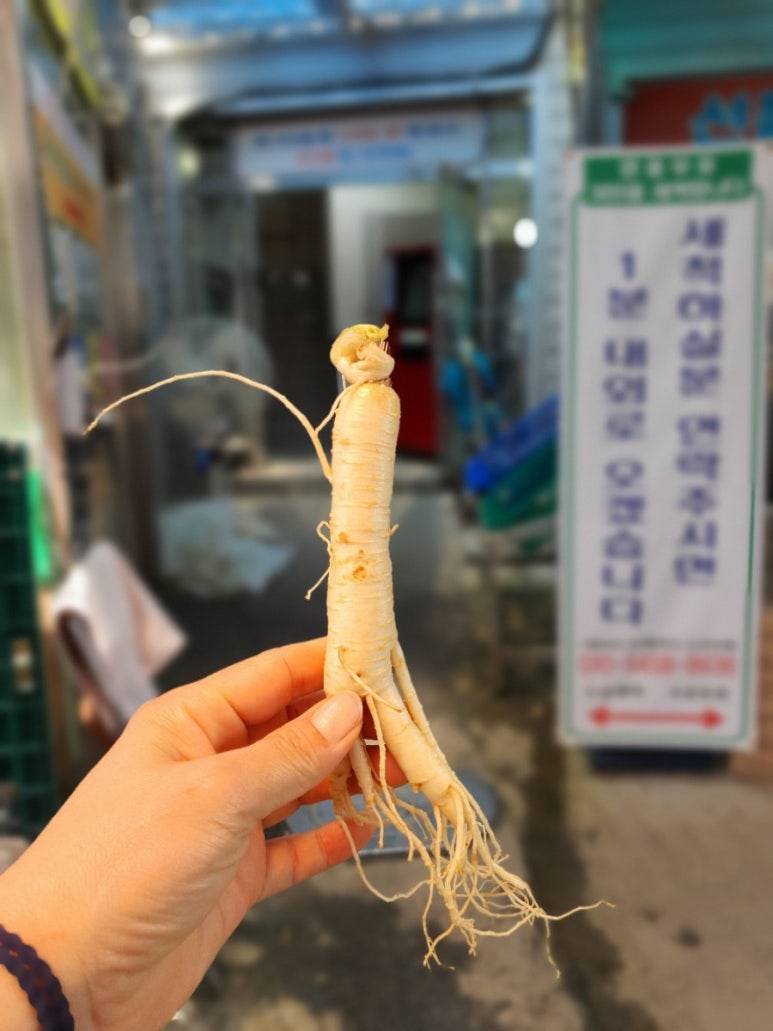 신창인삼사 이미지