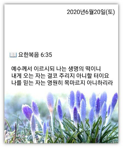 소소한일상 이미지