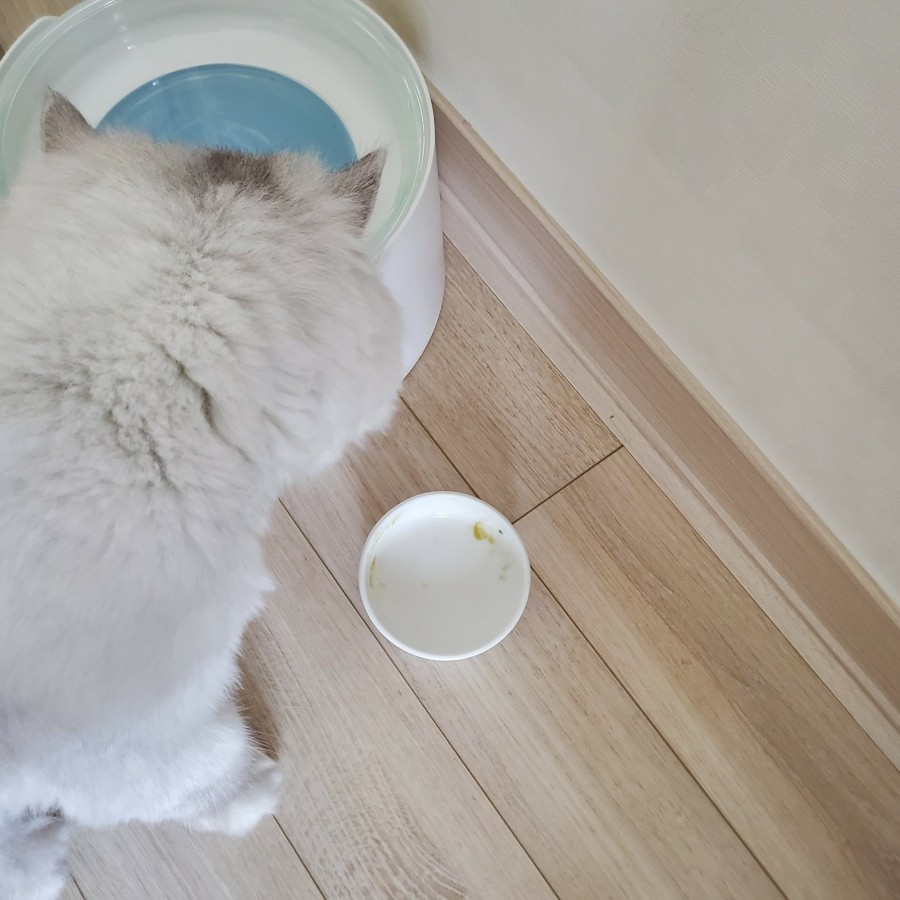 내가치킨 이미지