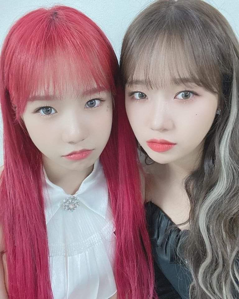 유정유리 이미지