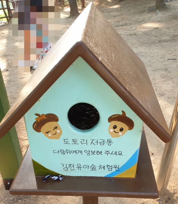 김천 유아숲체험원 이미지