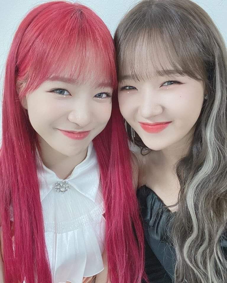 유정유리 이미지