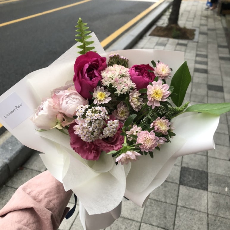 라무르플레르 이미지