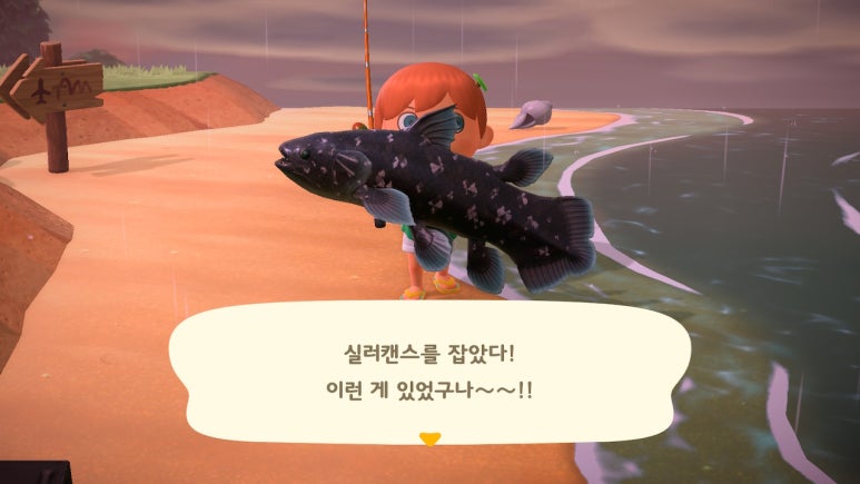신난다노래광장 이미지