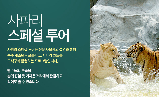 에버월드투어 이미지