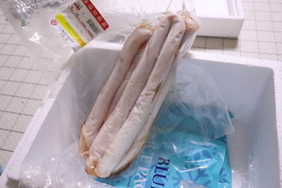 댕댕이 만찬 이미지