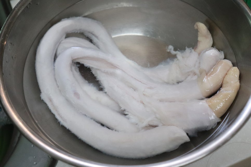 댕댕이 만찬 이미지