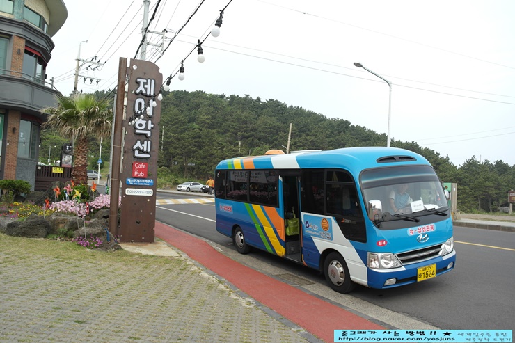 삼양여행사 이미지