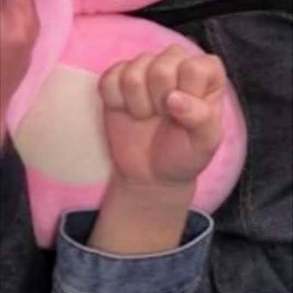 보금지 이미지