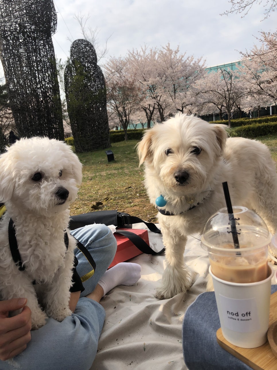 카페나드오프 이미지