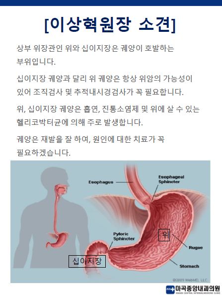 마곡중앙내과의원 이미지