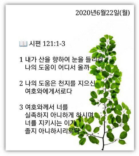 소소한일상 이미지