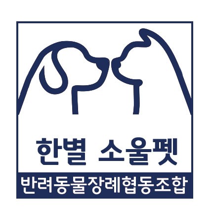 한별여행 이미지