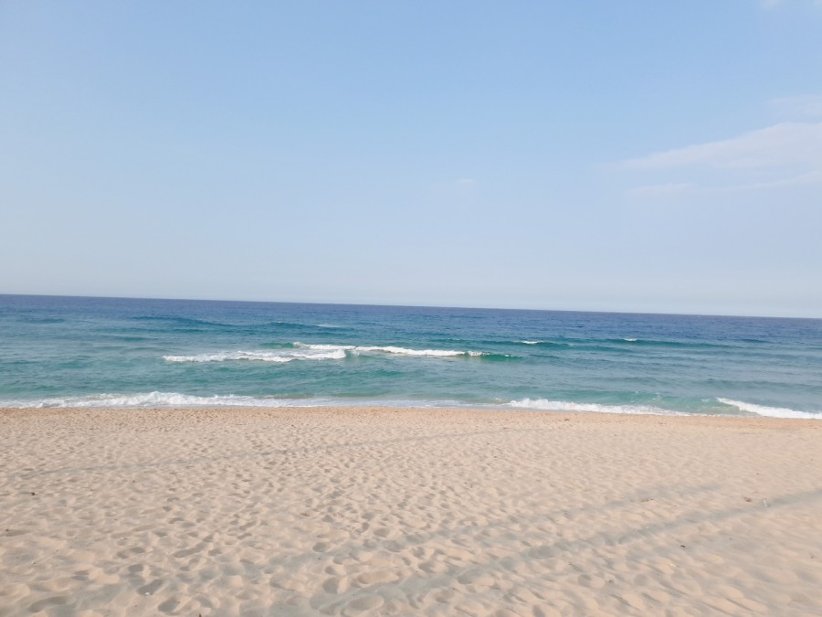 주문진 이미지