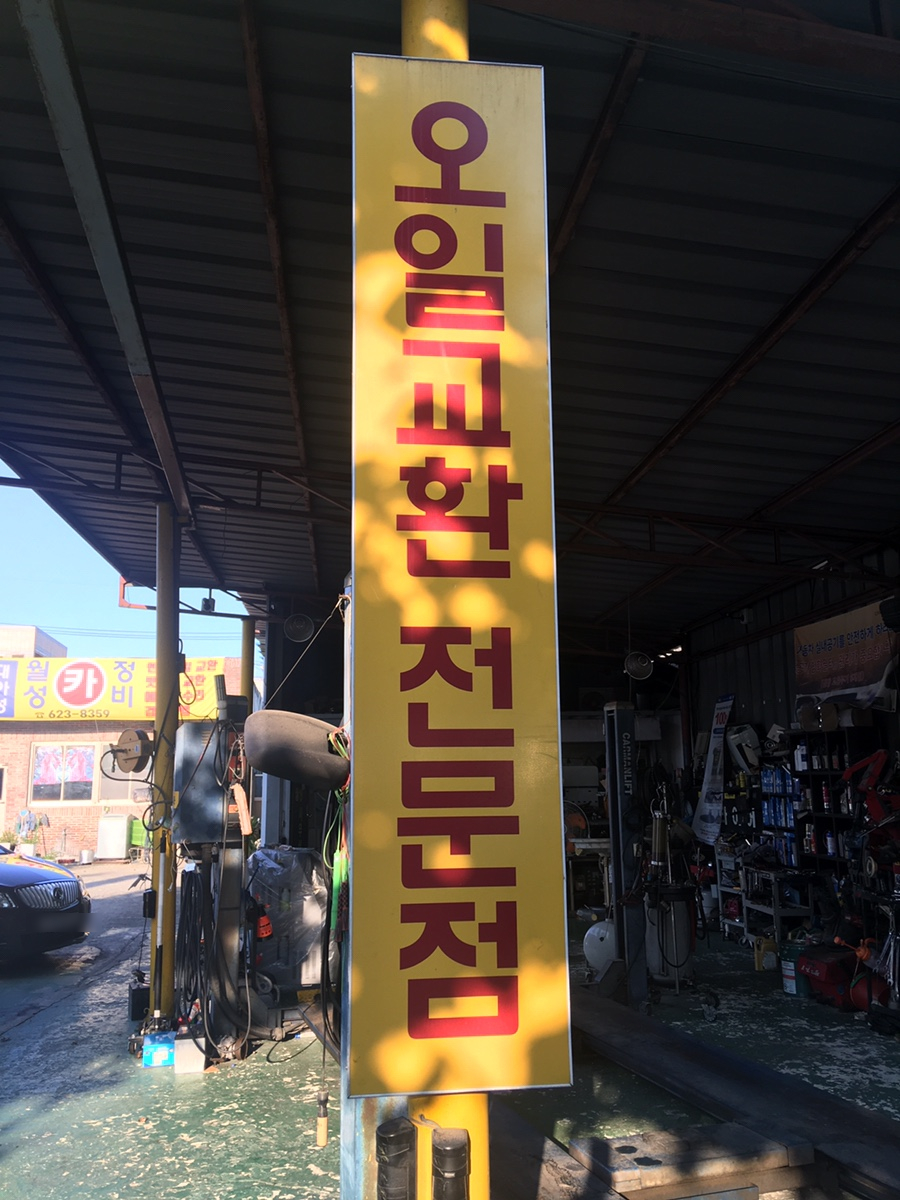 월성카 이미지