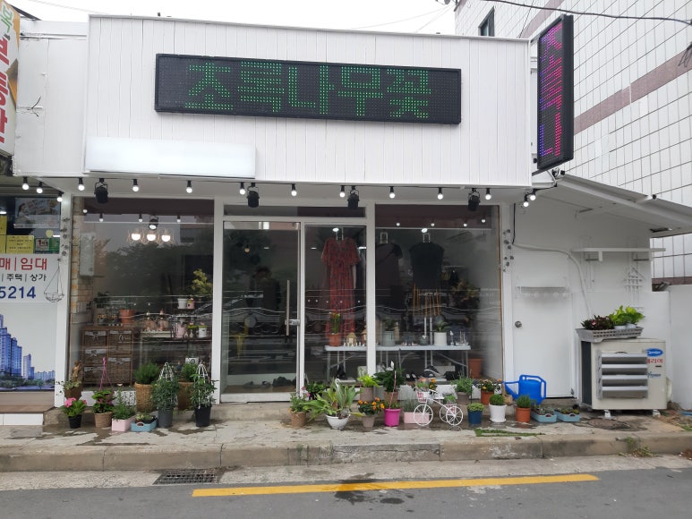 사랑방구제 이미지