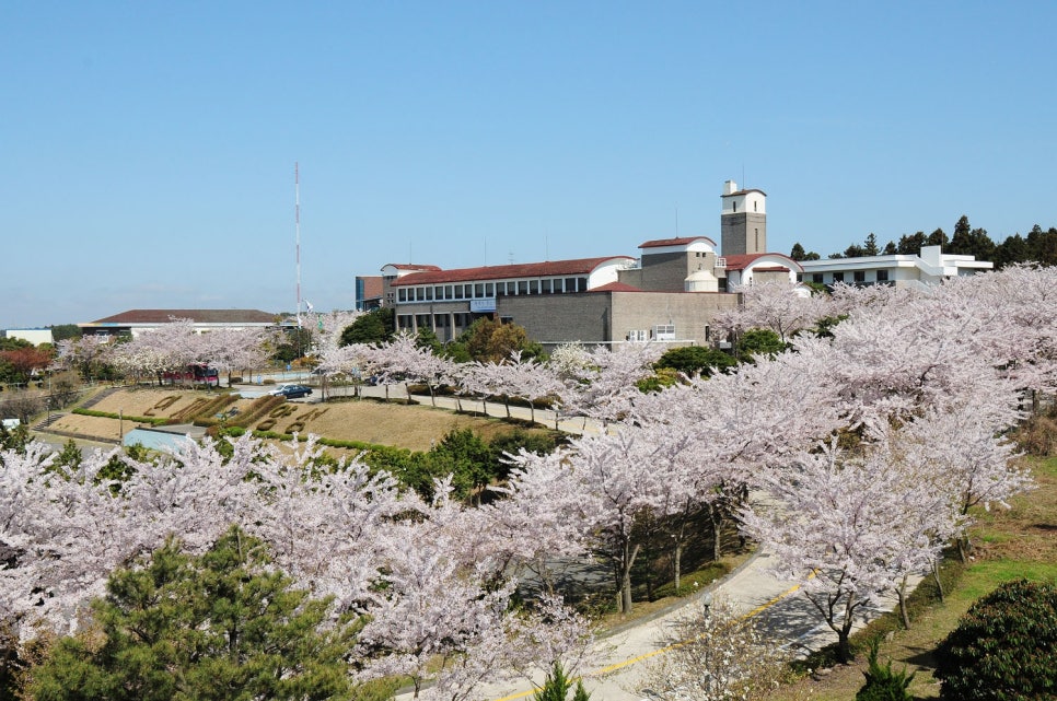 인재개발원 이미지