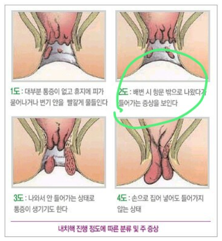 항세상외과의원 이미지