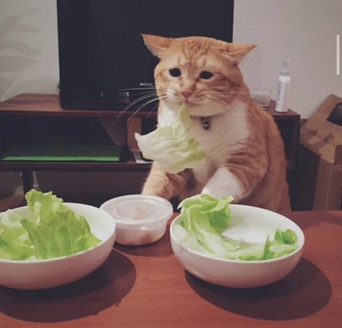 양문이 이미지