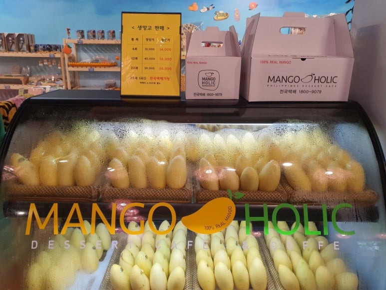 망고홀릭제주 이미지
