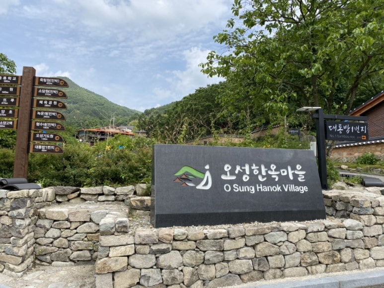 기양초 이미지
