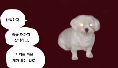 슨슨카페 이미지